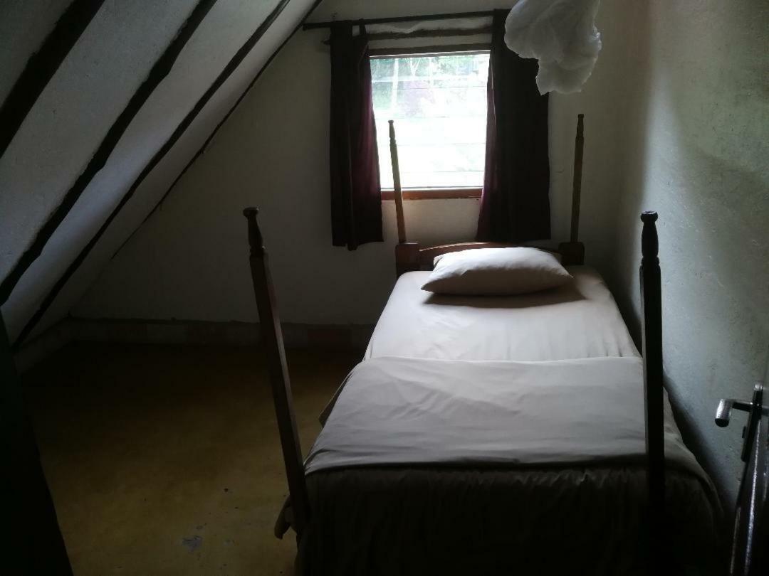 The Haven Hotel Jinja Kültér fotó